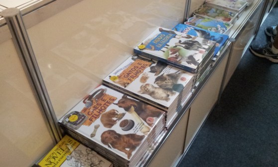 Feira do livro - Shopping Tijuca (Foto: Rafael Junqueira/Mundo Pauta)