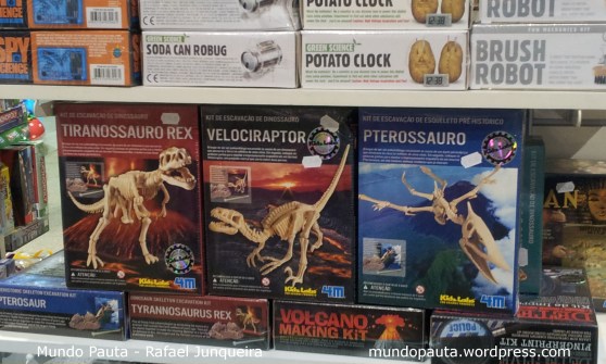 Produtos Educativos - Toyboy (Foto: Rafael Junqueira/Mundo Pauta)