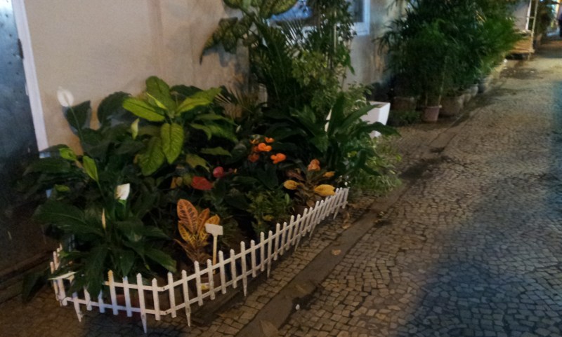 Canteiro na Rua das Flores - Tijuca (Foto: Rafael Junqueira/ Mundo Pauta)