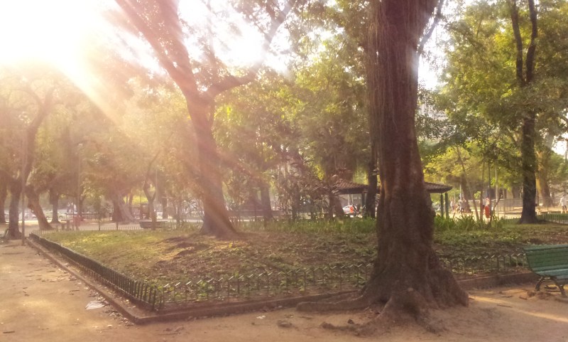 Olha para cima, e vê, que aqui o fulgor é diferente (Foto: Rafael Junqueira / Mundo Pauta)