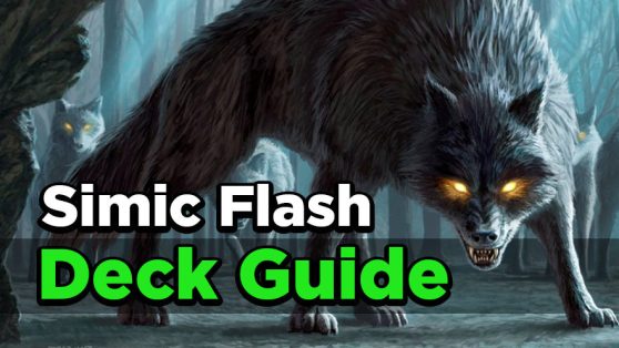 blog_SimicFlash-881x496