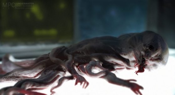 underwater-6-scaled-1